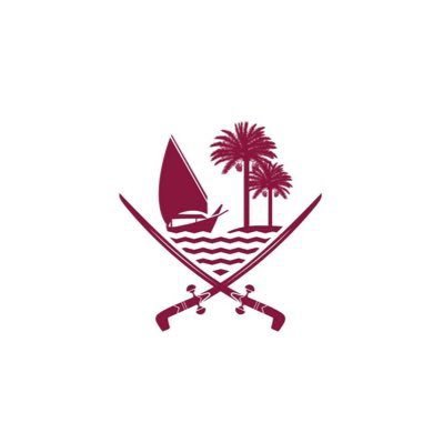 MSDF_Qatar's profile picture