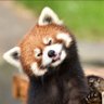 Вадим 的头像