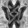 πFlexxin 的头像
