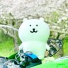 Фото профиля ひーちゃん