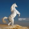 Фото профиля Baraa Sultan