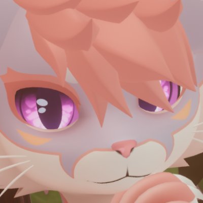 socks 🔜 AC's profile picture