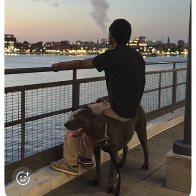 Fushi 💎's profile picture