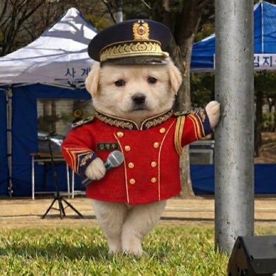 구미's profile picture