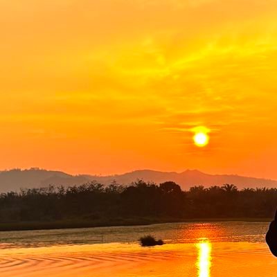 m's profile picture