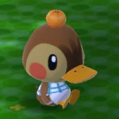 yelimi2026's profile picture