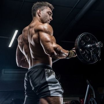 Muscle Freak's profile picture