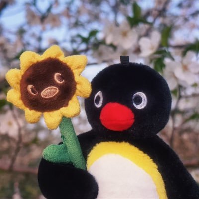涂山栗子's profile picture