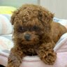 春き's profile picture