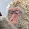 06 de fevereiro profil fotoğrafı