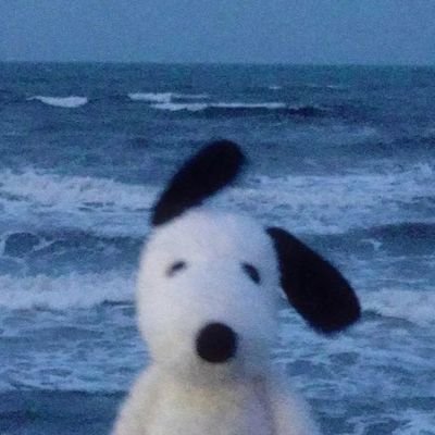 (ia)'s profile picture