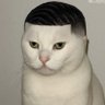 Profilbild von MISTAH JONES