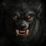 Profilbild von irq