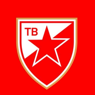 ZvezdaTV_fkcz's profile picture