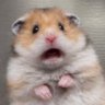 BLINK AND DIVE's profile picture