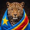 INSTITUTIONS RDC🇨🇩's profile picture