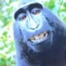 . profil fotoğrafı