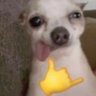 not a blind GenZ's profile picture