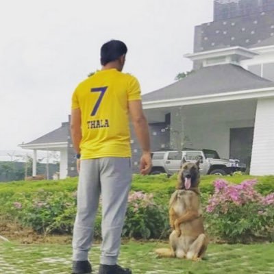 WeepingBD's profile picture