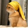 Tuğçebisakinol 的头像