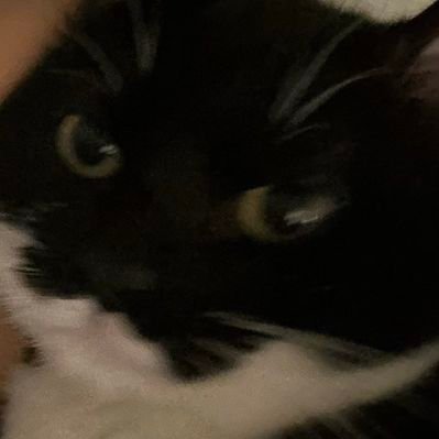 mnhyl_'s profile picture