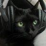 takrs stories profil fotoğrafı