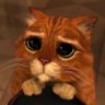 JULIAN VEGA's profile picture