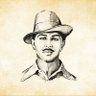 Yogesh's profile picture