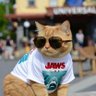 Profilbild von Henry