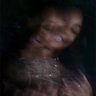 René's profile picture