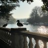 jDude profil fotoğrafı