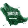 MURTADA-ALMOHSIN's profile picture