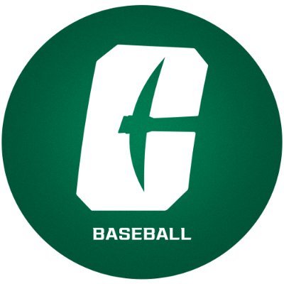 Charlotte Baseball's profile picture