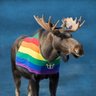 gay of whore moose's profile picture