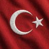 Türk'ün gücü's profile picture
