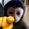 Profilbild von Wrench