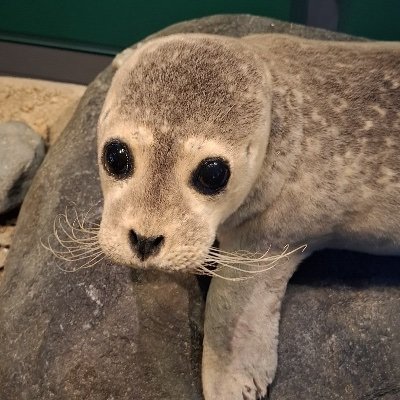 Sloppy_slugg's profile picture