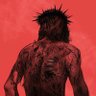 Cody profil fotoğrafı