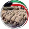 أسرار 💜🇰🇼 profil fotoğrafı