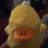 erez⁷ SAW BTS LONDON 06/07's profile picture