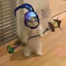 M0abl1's profile picture