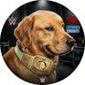 Clip Wrestling's profile picture