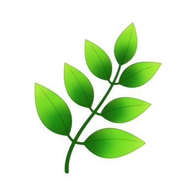 herbe🌿's profile picture