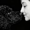 María Hdez 🇪🇸 profil fotoğrafı