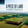 The Land Guy๐ก ็ๅคดๅ