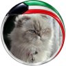 كحيله 🌼's profile picture
