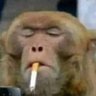 l's profile picture