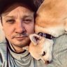 Jeremy renner 的头像