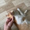 Hoài Nam profil fotoğrafı