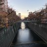 ぺんいか 的头像